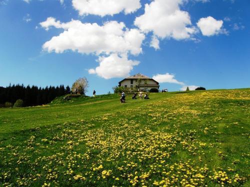 Meltar Boutique Hotel Golf & Spa Asiago Exterior photo